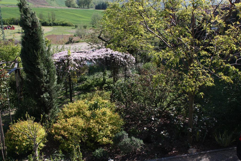 B&B La Casetta Villaromagnano Exterior photo